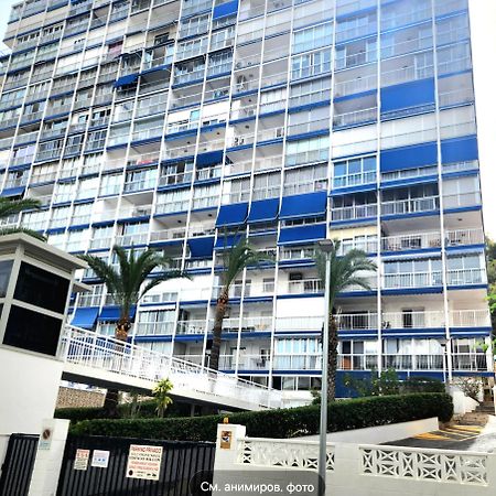 Apartment Alcalde Manuel Catalan Luxury Benidorm Exterior photo